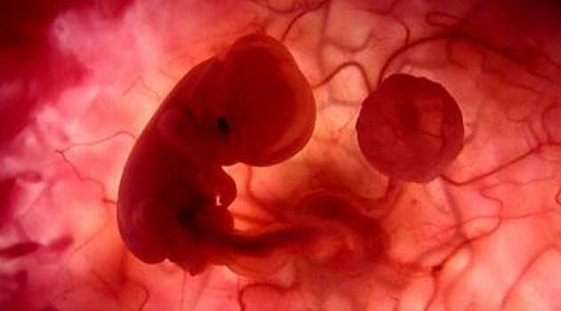 "Salen demonios por cada bebé abortado", afirma la testigo de una revelación privada